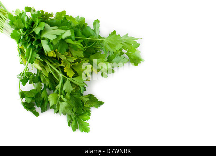 Bunch of fresh parsley isolated on white background Stock Photo