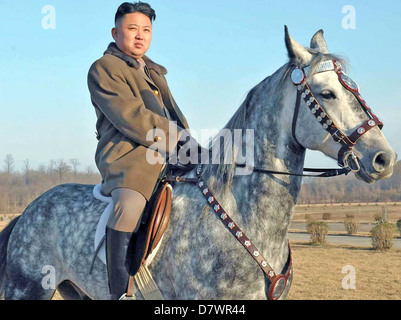 KIM JONG-un  Supreme leader of North Korea in 2013 Stock Photo