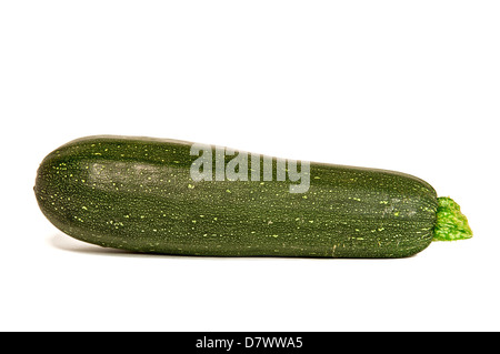 Vegetable Marrow isolated on a white background. Stock Photo