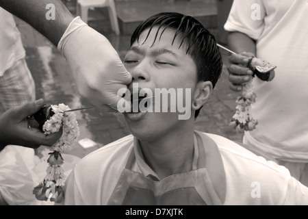 PHUKET, THAILAND OCTOBER 3 2011: A Ma Song endures the pain of a skewer extraction at the annual Phuket Vegetarian Festival. Stock Photo