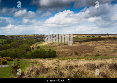 Ashdown Forest East Sussex England Stock Photo