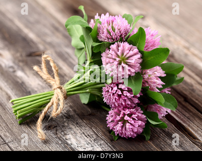 Red clover on a wooden background Stock Photo