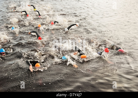 Triathletes swimming in water Stock Photo