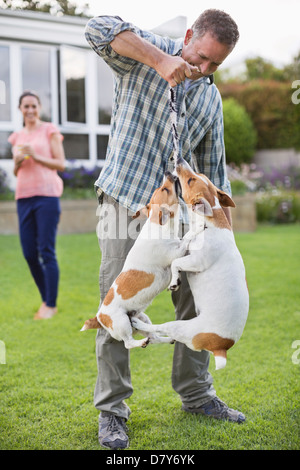 Man playing with dogs in backyard Stock Photo