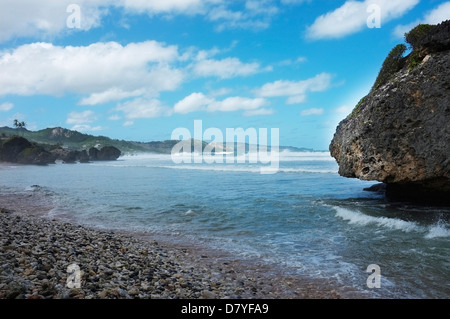 Shingle beaches on the East Coast of Barbados at Soup Bowl Bay, Bathsheba Stock Photo