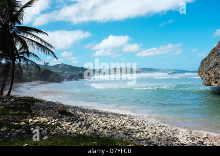 Shingle beaches on the East Coast of Barbados at Soup Bowl Bay, Bathsheba Stock Photo