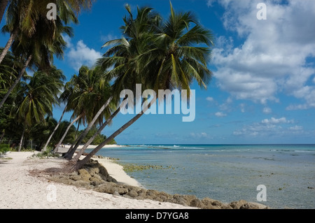 Beach at The Coconut Beach Hotel, Hastings, South West Coast of Barbados Stock Photo