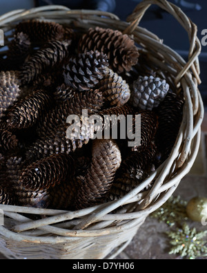Close up of basket of pine cones Stock Photo