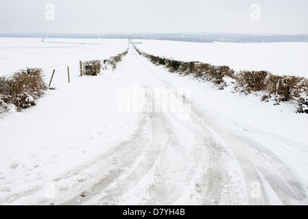 Tire tracks on a snowy road leading into the woods with snow covered ...