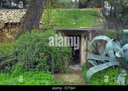 Abandoned house in a forest overrun by nature. Grass covered roof and overgrown plants. Stock Photo