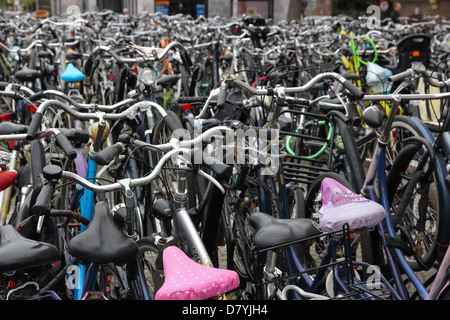 Bicycle parking in Maastricht, the oldest city in the Netherlands Stock Photo