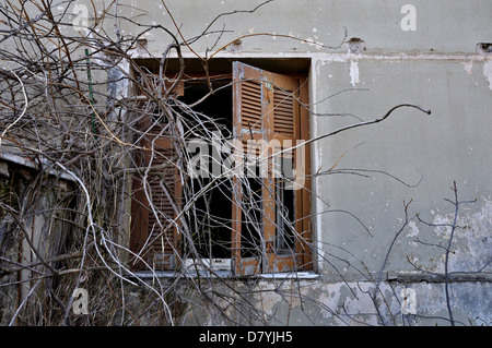 Overgrown branches peeling wall and broken window shutter of haunted house. Stock Photo