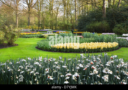 Park with Tulips, hyacinths and daffodils in spring Stock Photo