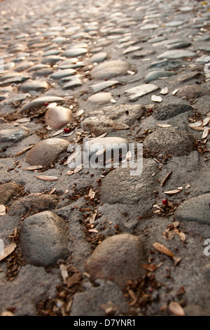 Chalmers Street  is one of the few remaining cobblestone in the historic district of Charleston, South Carolina, USA. Stock Photo