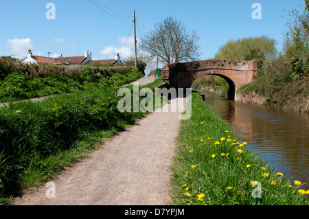 Bridgwater and Taunton Canal near Bridgwater, Somerset, England, UK ...