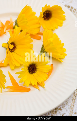 Edible yellow Marigold flowers on a white plate. Stock Photo