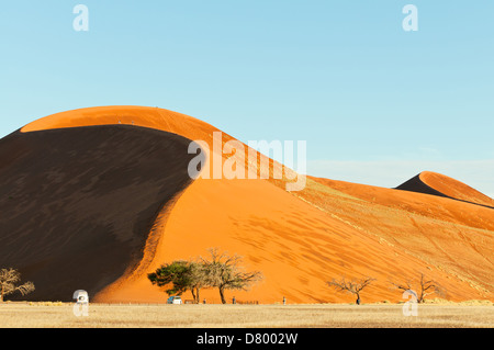 Dune 45 at Sossusvlei, Namib Naukluft National Park, Namibia Stock Photo