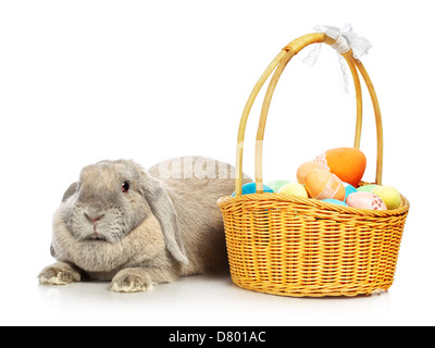gray lop-earred rabbit and Easter basket, isolated on white Stock Photo
