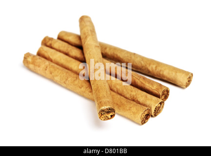 little cigars close up, isolated on white Stock Photo