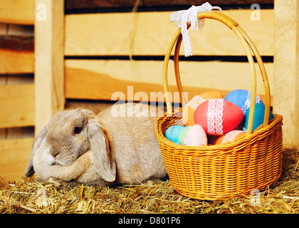 gray lop-earred rabbit and Easter basket on hayloft Stock Photo