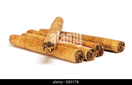 little cigars close up, isolated on white Stock Photo