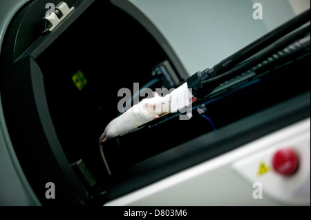 The micro PET CT machine Stock Photo: 56551308 - Alamy