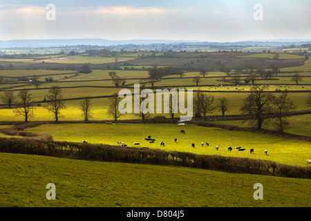 View over farmland on Cotswold Way near Dyrham