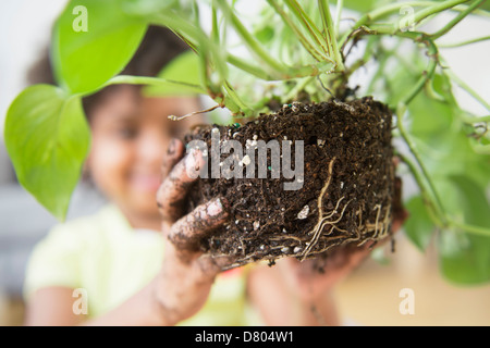 African American girl holding de-potted plant Stock Photo