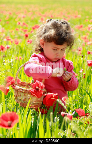 Little girl with poppies. Stock Photo