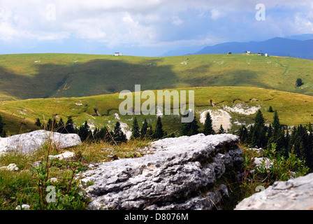 WWI. Veneto, Italy,Asiago Plateau, Mount Fior. The long Italian trench. Stock Photo