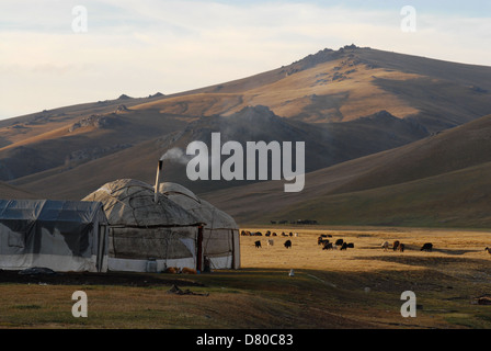 Kyrgyz yurts and horses and sheep around in the highland mountain pastures at the Song Kul lake. Naryn region, Kyrgyzstan Stock Photo