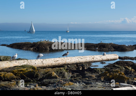 Fog bank in the Strait of Juan de Fuca off Cattle Point, Victoria, Canada. Stock Photo