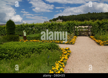 Herb Garden, Chateau de Villandry, Loire Valley, France Stock Photo