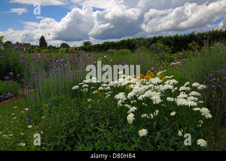 The Sun Garden, informal flower gardens at Villandry, Loire Valley, France. Stock Photo