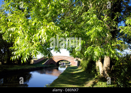 Bridge Number 95, Oxford Canal, Braunston, Northamptonshire, Northants, England, UK, GB, cut, English, British, inland, waterway Stock Photo