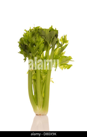 Fresh celery bunch isolated on white background Stock Photo