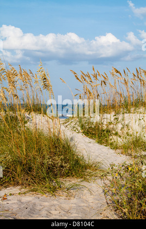 A pathway leading through the dunes to the beach beyond. Stock Photo