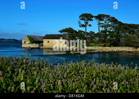 Berden island in Larmor Baden, island connected to the continent with low tide by a roadway submarine : 'Passage du gois'. Stock Photo