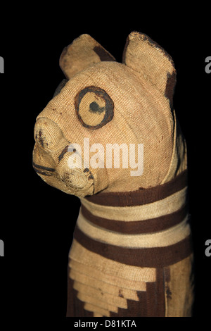 Mummy Of A Cat Given As Offering to the Goddess Bastet. Egypt Roman Period (about 30BC - AD395) Stock Photo