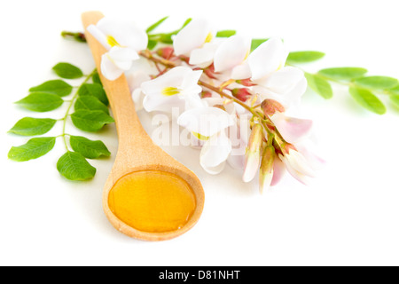 Honey in spoon with acacia flower on white background Stock Photo