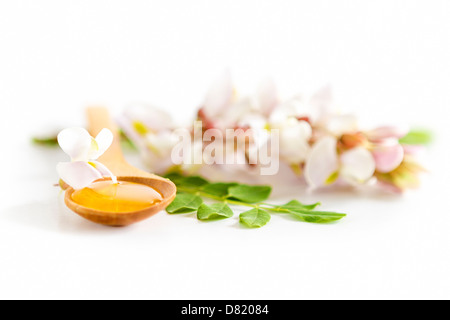 Honey in spoon with acacia flower Stock Photo