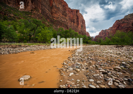 Big Bend and Virgin River, Zion National Park, Utah The river is muddy due to intense rainstorms upstream. Stock Photo