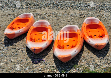 Starfish on kayak, Halkidiki - Greece Stock Photo