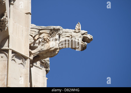 Gargoyle at La Lonja monument in Palma de Mallorca, Spain Stock Photo