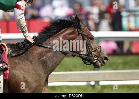 Baltimore, Maryland, USA. 17th May 2013. I'm Mom's Favorite (#8), Sheldon Russell up, wins race 8, the 28th runniing of the Ms. Preakness Pink Warrior Stakes at Pimlico Race Course in Baltimore, MD. (Credit Image: Credit:  Joan Fairman Kanes/Eclipse/ZUMAPRESS.com/Alamy Live News) Stock Photo