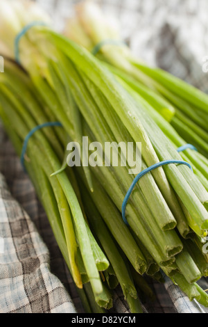 Bunches of Scallions, sometimes called long or green onions Stock Photo