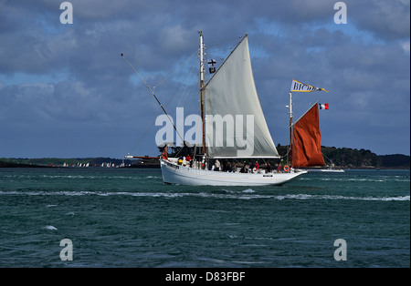 Traditional fishing boat : Biche (dundee tuna, Groix island, 1934, Brittany, France), sailing in Morbihan gulf. Stock Photo