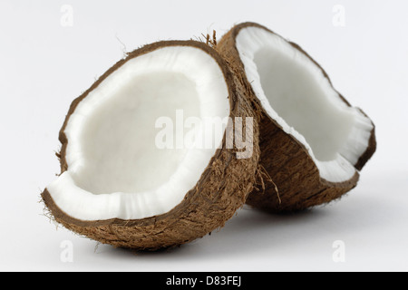 Coconut cracked in two halves Stock Photo