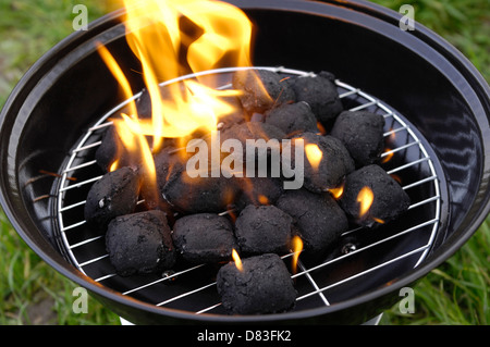 Charcoal briquettes burning in a small portable barbeque standing on green grass background Stock Photo
