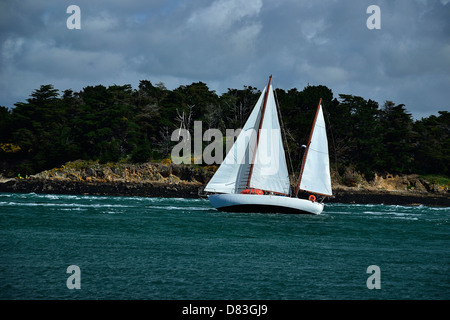 Classic yacht, name : ?, sailing in the Morbihan gulf, here in front of 'Ile Longue' in Morbihan gulf. Stock Photo